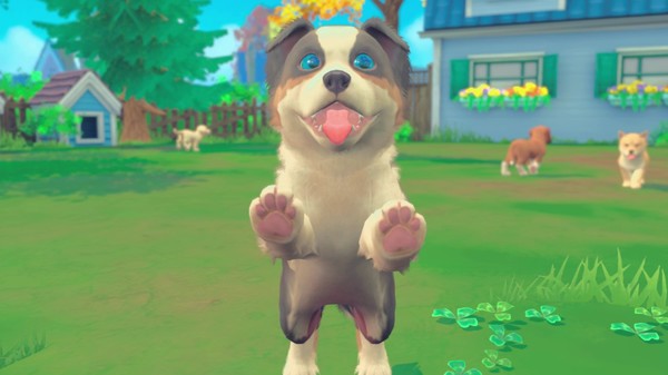 我的领域:小猫小狗/My Universe - Puppies & Kittens 16