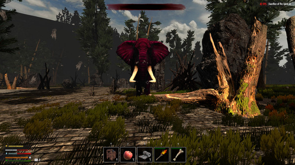 圣灵的牺牲/Sacrifice of The Spirit 17