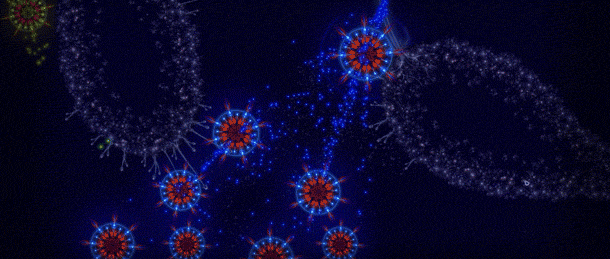 Microcosmum1