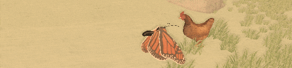 ezgif.com gif maker 1